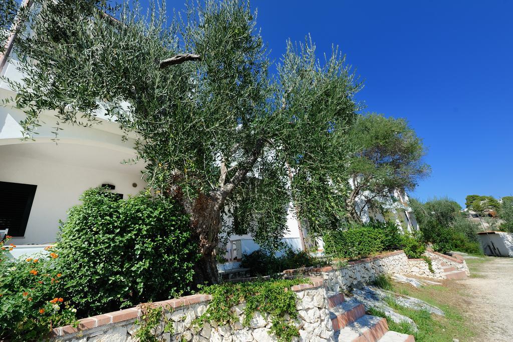 Baia Degli Aranci Camping Village Vieste Esterno foto