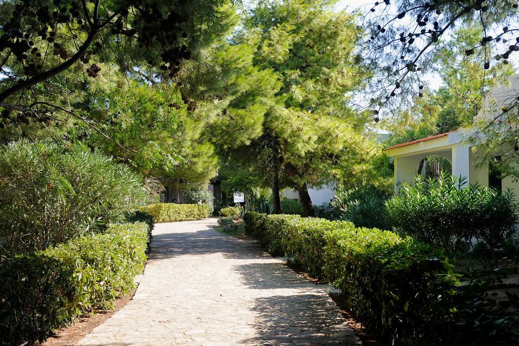 Baia Degli Aranci Camping Village Vieste Esterno foto